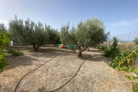 Landejendom i Lucar, Almeria, Lucar - € 129.000 | Ref: 2410 - foto 32