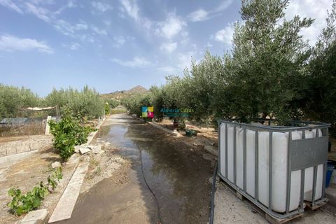 Landejendom i Lucar, Almeria, Lucar - € 129.000 | Ref: 2410 - foto 35