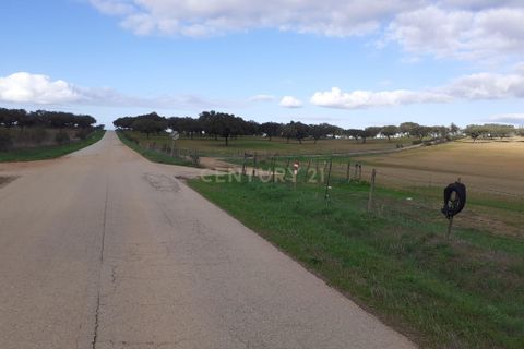 Terra a Alandroal, Evora, Alandroal - € 300.000 | Ref: C0185-02855 - foto 3