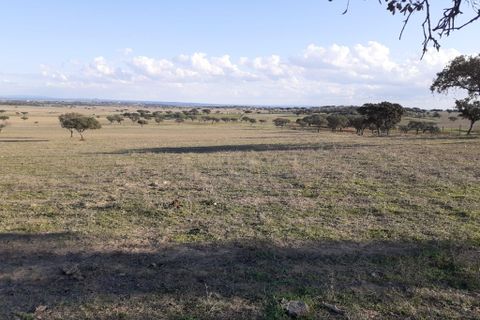 Terra a Alandroal, Evora, Alandroal - € 300.000 | Ref: C0185-02855 - foto 6