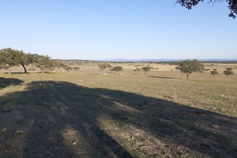 Terra a Alandroal, Evora, Alandroal - € 300.000 | Ref: C0185-02855 - foto 5