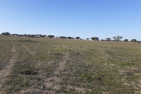 Terra a Alandroal, Evora, Alandroal - € 300.000 | Ref: C0185-02855 - foto 7