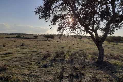 Terra a Alandroal, Evora, Alandroal - € 300.000 | Ref: C0185-02855 - foto 8