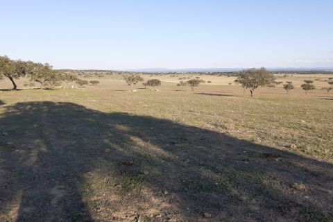 Terra a Alandroal, Evora, Alandroal - € 300.000 | Ref: C0185-02855 - foto 22