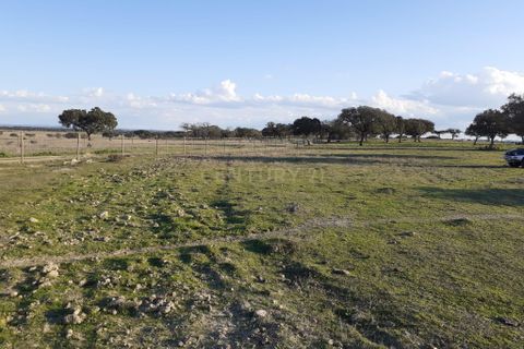 Terra a Alandroal, Evora, Alandroal - € 300.000 | Ref: C0185-02855 - foto 9