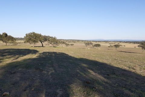 Terra a Alandroal, Evora, Alandroal - € 300.000 | Ref: C0185-02855 - foto 15