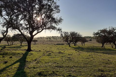 Terra a Alandroal, Evora, Alandroal - € 300.000 | Ref: C0185-02855 - foto 10