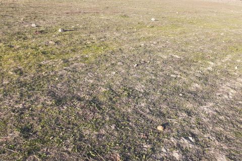 Terra a Alandroal, Evora, Alandroal - € 300.000 | Ref: C0185-02855 - foto 11