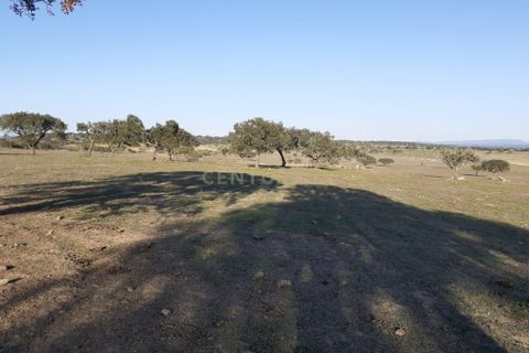 Terra a Alandroal, Evora, Alandroal - € 300.000 | Ref: C0185-02855 - foto 12