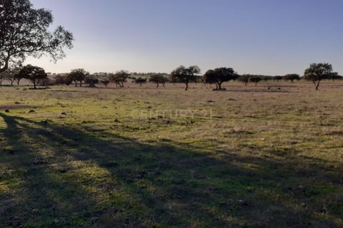 Terra a Alandroal, Evora, Alandroal - € 300.000 | Ref: C0185-02855 - foto 13