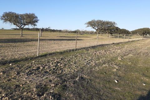 Terra a Alandroal, Evora, Alandroal - € 300.000 | Ref: C0185-02855 - foto 14