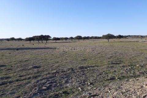 Terra a Alandroal, Evora, Alandroal - € 300.000 | Ref: C0185-02855 - foto 16