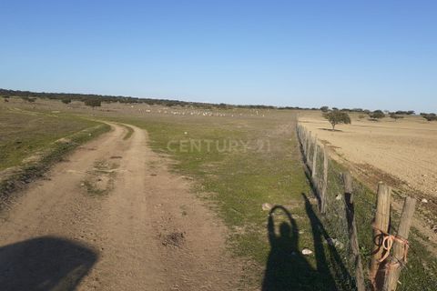 Terra a Alandroal, Evora, Alandroal - € 300.000 | Ref: C0185-02855 - foto 17