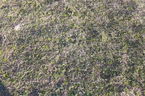 Terra a Alandroal, Evora, Alandroal - € 300.000 | Ref: C0185-02855 - foto 18