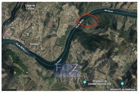 Farm i Ervedosa do Douro, Viseu, Ervedosa do Douro - € 1.500.000 | Ref: 9161a - foto 3