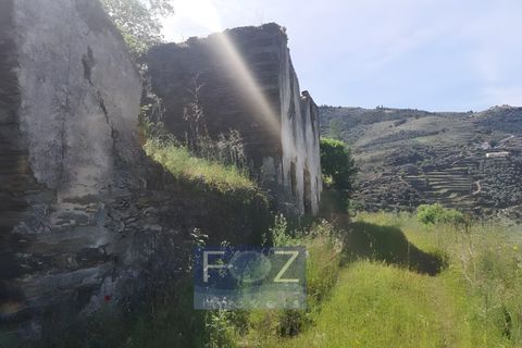 Farm i Ervedosa do Douro, Viseu, Ervedosa do Douro - € 1.500.000 | Ref: 9161a - foto 5