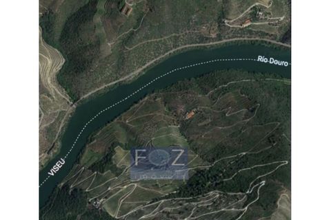 Farm i Ervedosa do Douro, Viseu, Ervedosa do Douro - € 1.500.000 | Ref: 9161a - foto 6