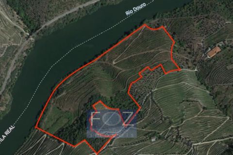 Farm i Ervedosa do Douro, Viseu, Ervedosa do Douro - € 1.500.000 | Ref: 9161a - foto 7