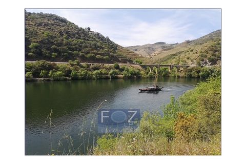 Farm i Ervedosa do Douro, Viseu, Ervedosa do Douro - € 1.500.000 | Ref: 9161a - foto 10