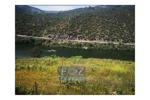 Farm i Ervedosa do Douro, Viseu, Ervedosa do Douro - € 1.500.000 | Ref: 9161a - foto 11