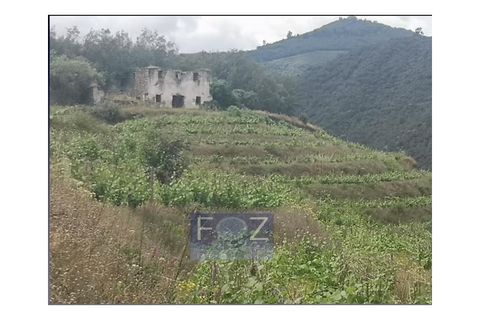 Farm i Ervedosa do Douro, Viseu, Ervedosa do Douro - € 1.500.000 | Ref: 9161a - foto 13