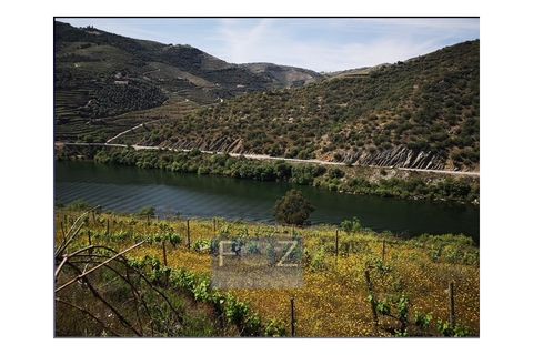Farm i Ervedosa do Douro, Viseu, Ervedosa do Douro - € 1.500.000 | Ref: 9161a - foto 14