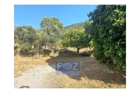 Farm i Ervedosa do Douro, Viseu, Ervedosa do Douro - € 3.750.000 | Ref: 9160a - foto 3