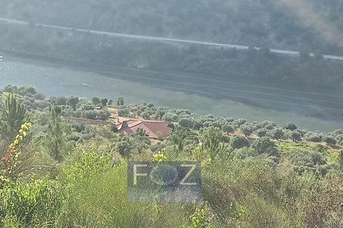 Farm i Ervedosa do Douro, Viseu, Ervedosa do Douro - € 3.750.000 | Ref: 9160a - foto 19