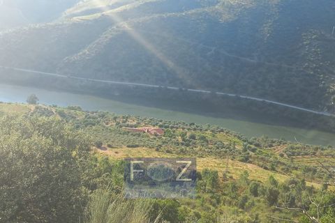 Farm i Ervedosa do Douro, Viseu, Ervedosa do Douro - € 3.750.000 | Ref: 9160a - foto 20