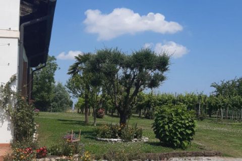 Villa a Montegalda, Vicenza, Montegalda - € 640.000 | Ref: MM444-3 - foto 11