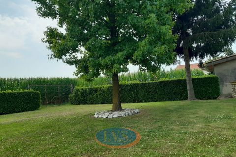 Villa a Montegalda, Vicenza, Montegalda - € 640.000 | Ref: MM444-3 - foto 14