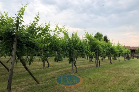 Villa a Montegalda, Vicenza, Montegalda - € 640.000 | Ref: MM444-3 - foto 30