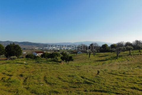 Helårsgrund i Covilha, Castelo Branco, Covilha - € 500.000 | Ref: 111240116 - foto 7