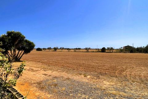 Landejendom i Campos, Mallorca, Campos - € 1.300.000 | Ref: 80047 - foto 2