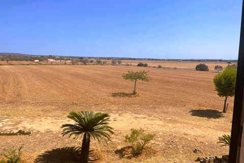 Landejendom i Campos, Mallorca, Campos - € 1.300.000 | Ref: 80047 - foto 3