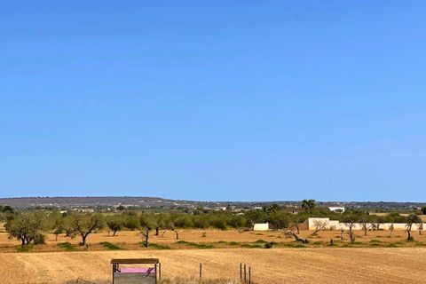 Landejendom i Campos, Mallorca, Campos - € 1.300.000 | Ref: 80047 - foto 4