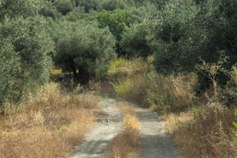 Finca i Lanjaron, Granada, Lanjaron - € 235.000 | Ref: L730 - foto 6
