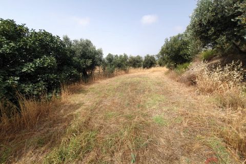 Finca i Lanjaron, Granada, Lanjaron - € 235.000 | Ref: L730 - foto 8
