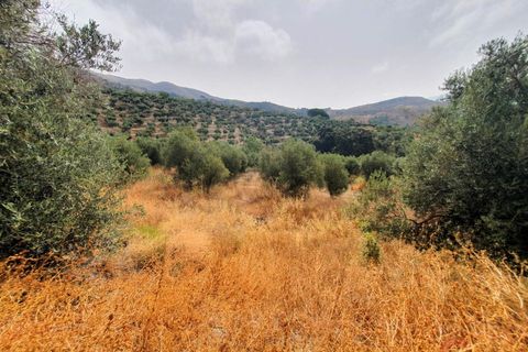Finca i Lanjaron, Granada, Lanjaron - € 235.000 | Ref: L730 - foto 9