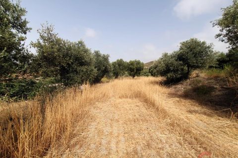 Finca i Lanjaron, Granada, Lanjaron - € 235.000 | Ref: L730 - foto 10