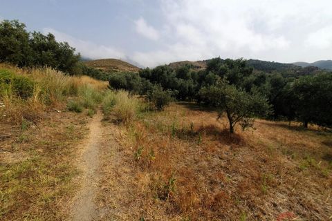 Finca i Lanjaron, Granada, Lanjaron - € 235.000 | Ref: L730 - foto 12
