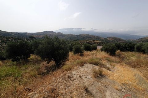 Finca i Lanjaron, Granada, Lanjaron - € 235.000 | Ref: L730 - foto 14