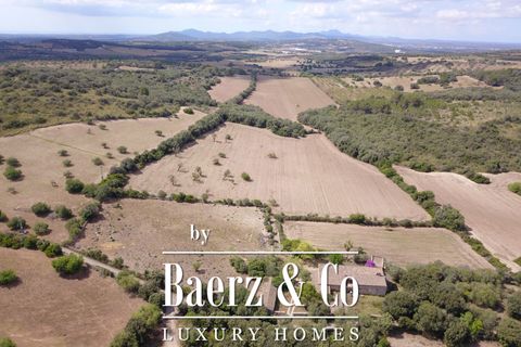 Villa i Manacor, Mallorca, Manacor - € 3.800.000 | Ref: V694 - foto 10