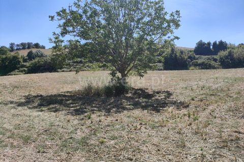Helårsgrund i Torres Vedras, Lisbon, Torres Vedras - € 21.500 | Ref: 295240076 - foto 6