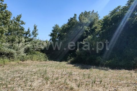 Helårsgrund i Torres Vedras, Lisbon, Torres Vedras - € 21.500 | Ref: 295240076 - foto 7