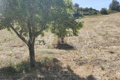 Helårsgrund i Torres Vedras, Lisbon, Torres Vedras - € 21.500 | Ref: 295240076 - foto 8