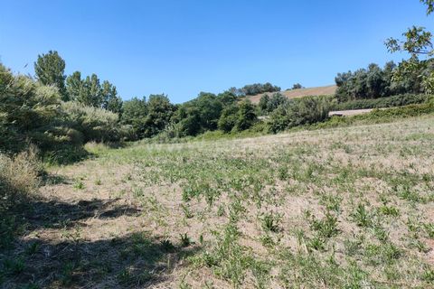 Helårsgrund i Torres Vedras, Lisbon, Torres Vedras - € 21.500 | Ref: 295240076 - foto 10