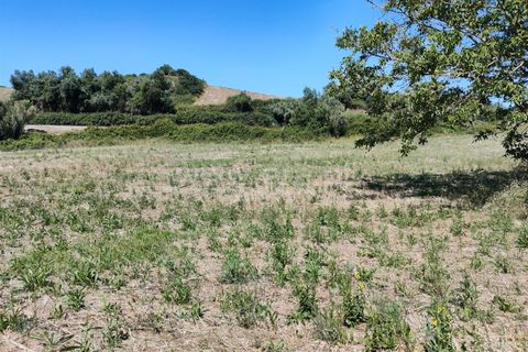 Helårsgrund i Torres Vedras, Lisbon, Torres Vedras - € 21.500 | Ref: 295240076 - foto 12