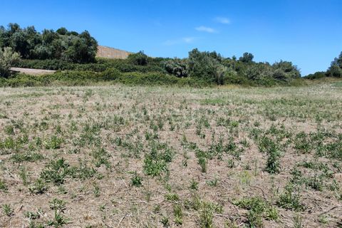 Helårsgrund i Torres Vedras, Lisbon, Torres Vedras - € 21.500 | Ref: 295240076 - foto 13