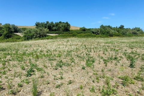 Helårsgrund i Torres Vedras, Lisbon, Torres Vedras - € 21.500 | Ref: 295240076 - foto 14